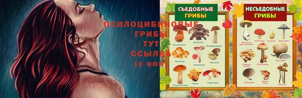 дмт Балахна