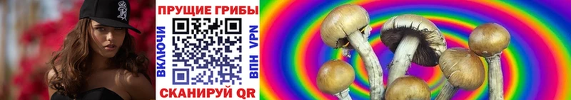 Купить  Старый Крым  Псилоцибиновые грибы Magic Shrooms 